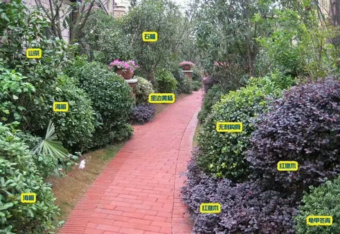 庭院景观绿化方案|施工