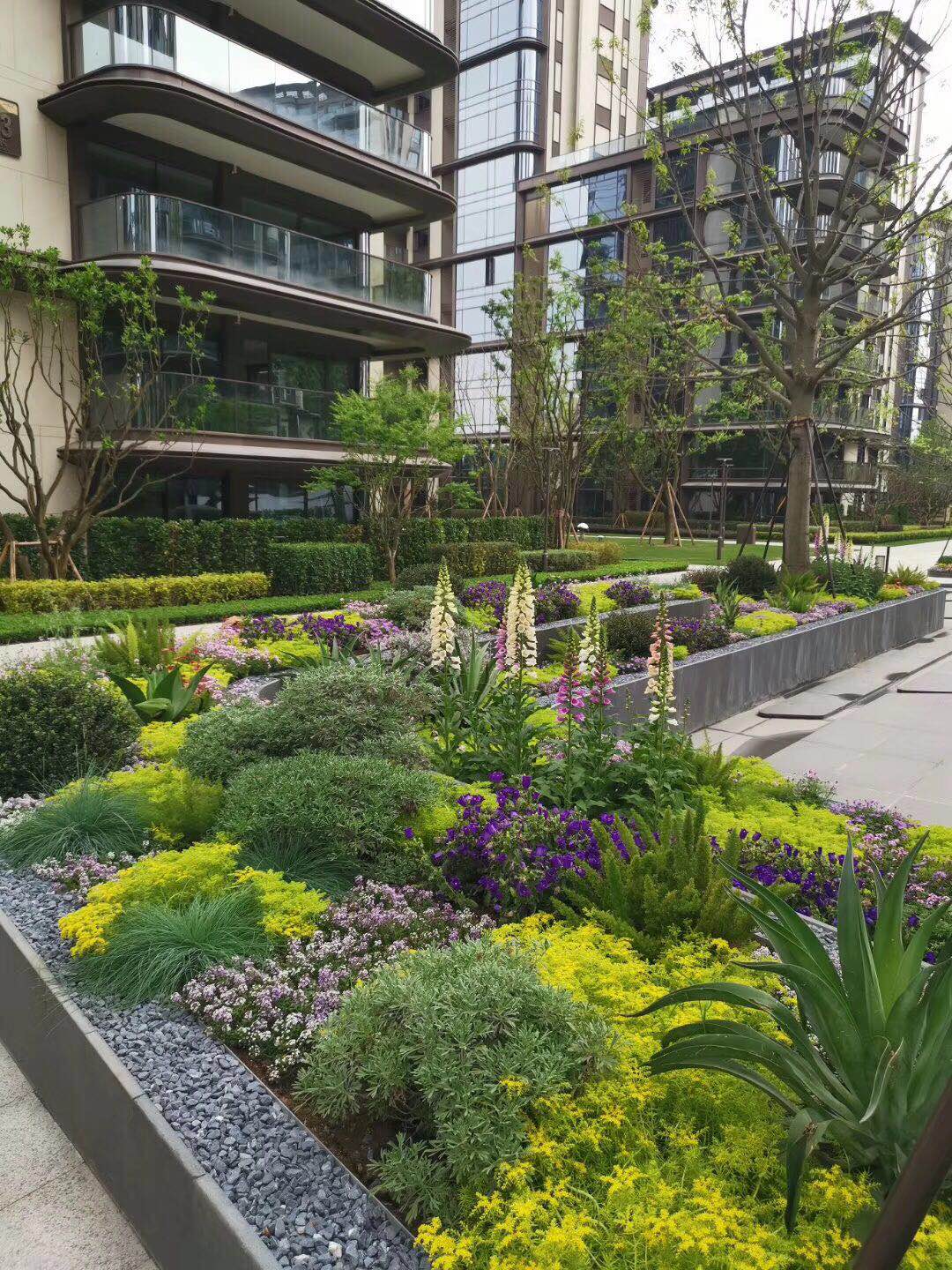 庭院景观绿化方案|施工