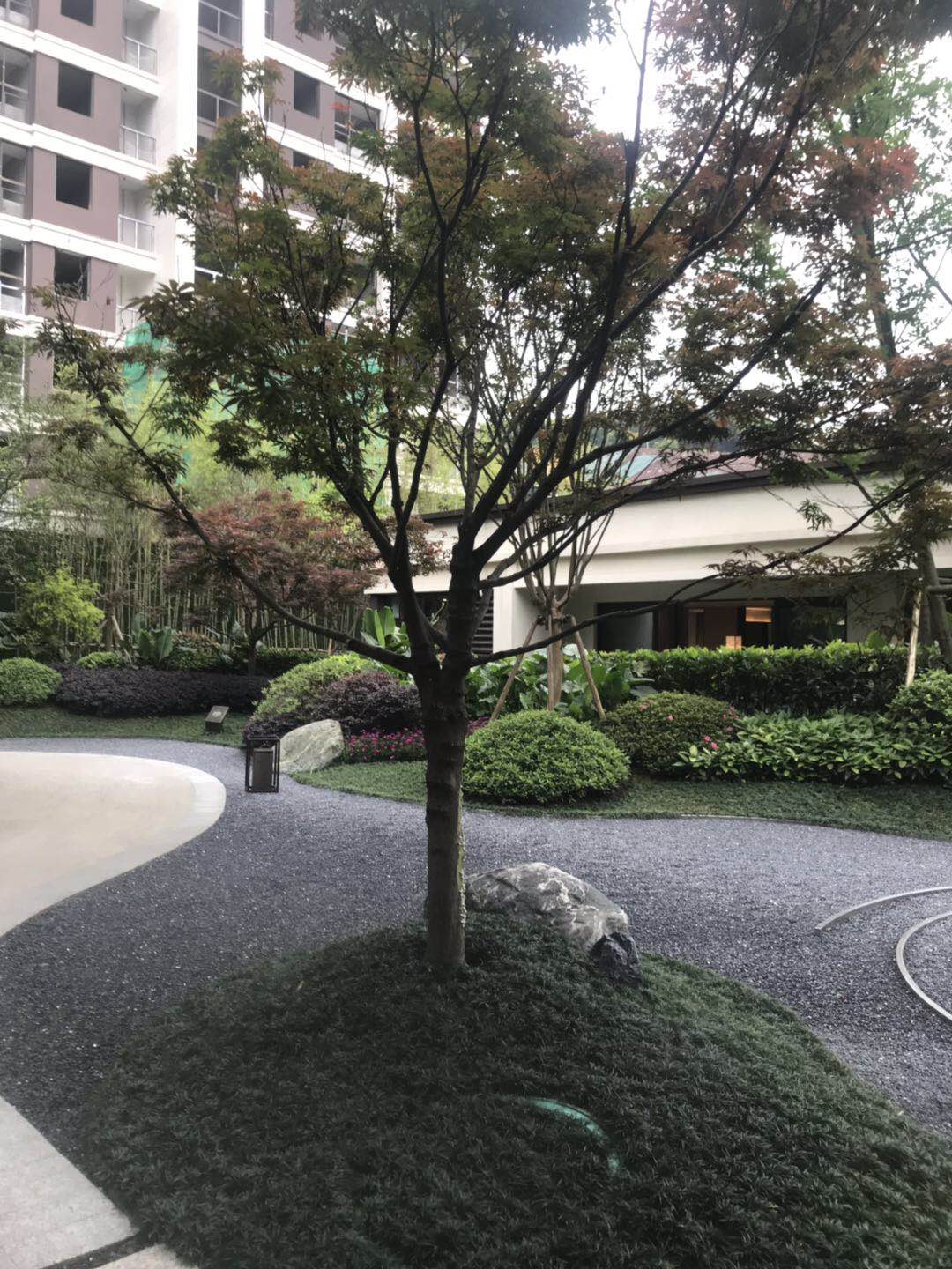 庭院景观绿化方案|施工